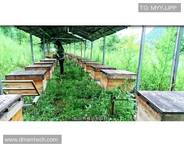 重庆网球队荣登全国网球技术排行榜第一名引发热议