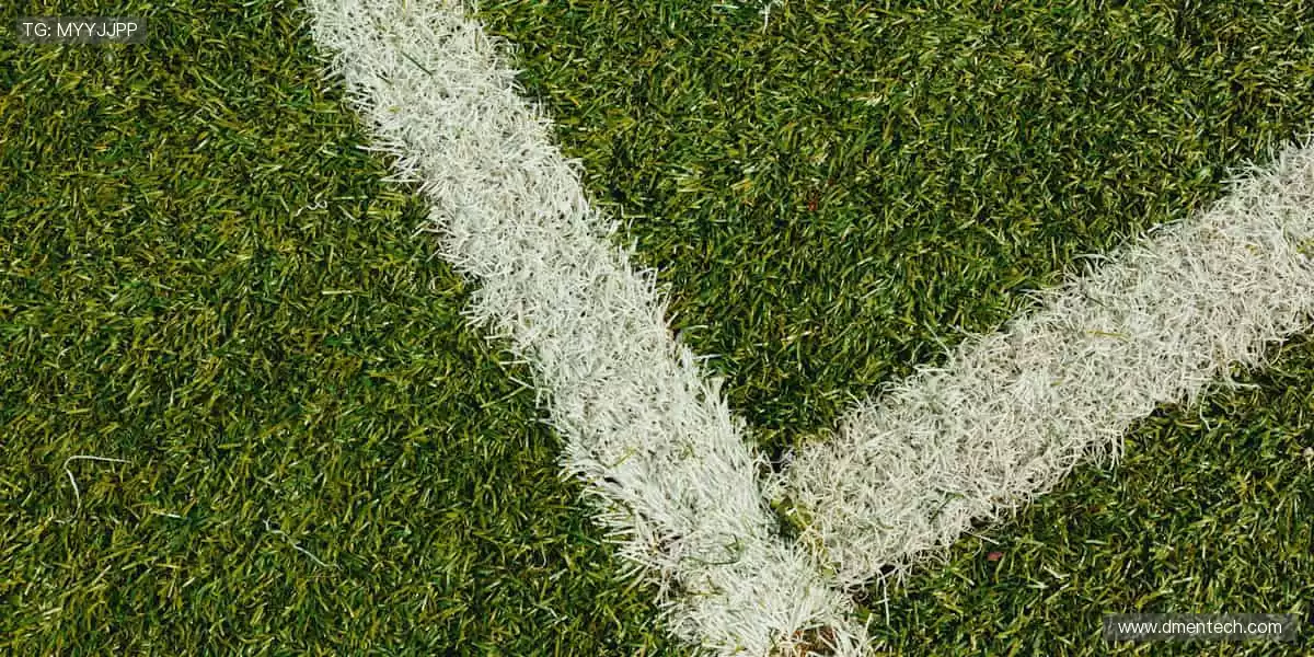 🏅 珍藏回忆，与偶像同行！🧢